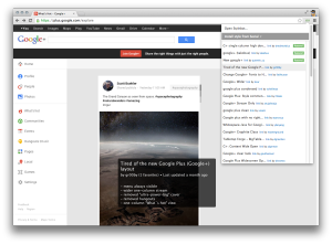 Previewing user-submitted styles for Google+