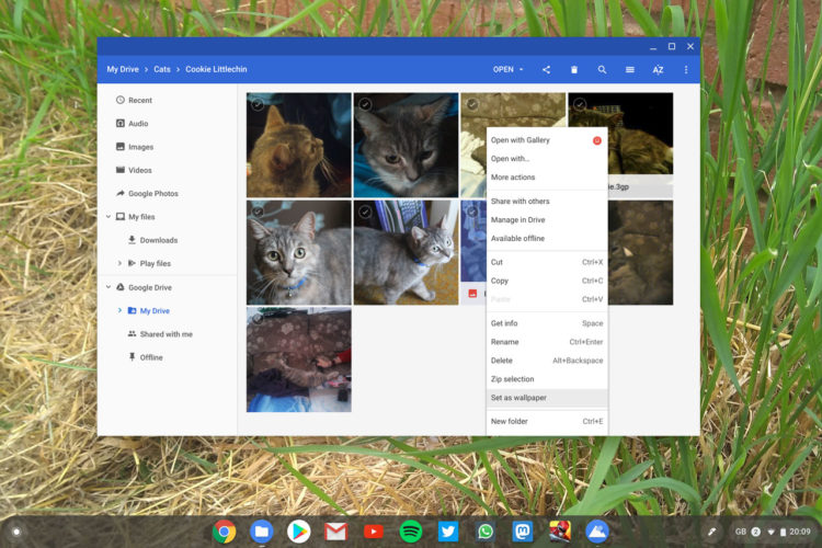set image as wallpaper in the chromebook file manager